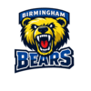 Birmingham Bears