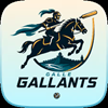 Galle Marvels
