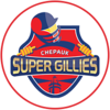 Chepauk Super Gillies