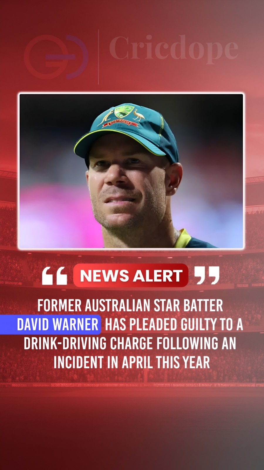 David Warner pleads guilty to a drink-driving charge following an April incident